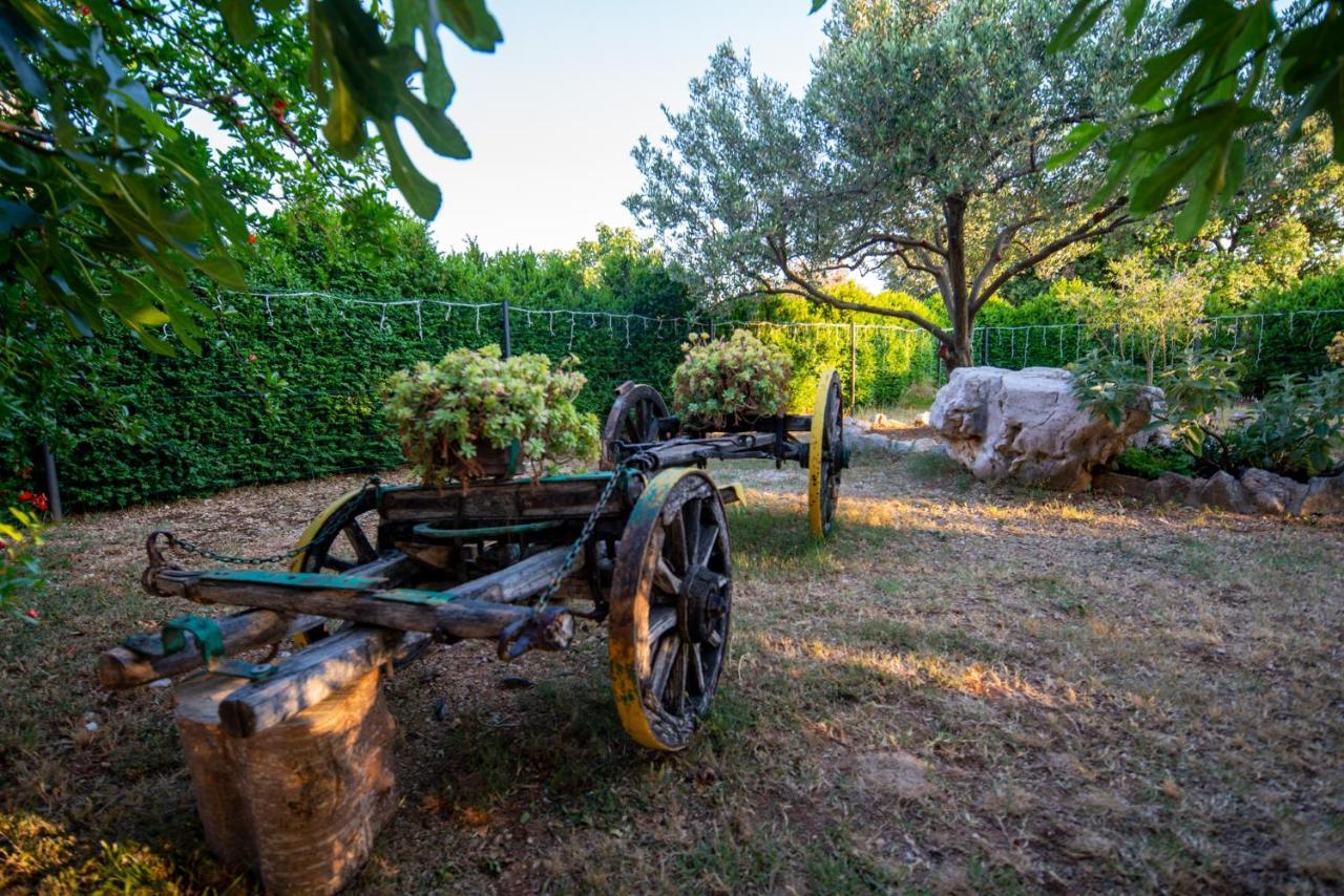 Holiday House Cvita Biograd Na Moru Ngoại thất bức ảnh