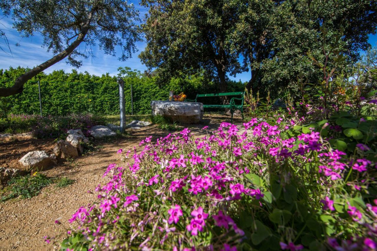 Holiday House Cvita Biograd Na Moru Ngoại thất bức ảnh